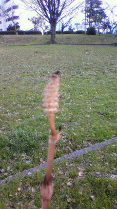 2012032714380000.jpg