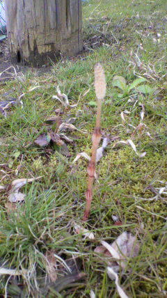 2012032714360000.jpg