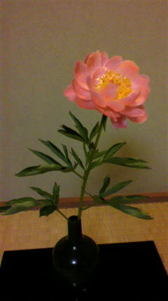 2012040617290000.jpg