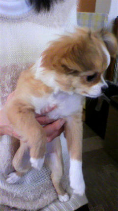 2012041010560000.jpg