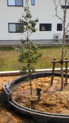 2012041213270000.jpg