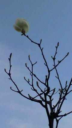 2012041214410000.jpg