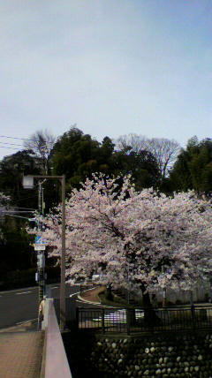 2012041509000001.jpg