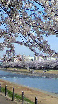 2012041508580000.jpg