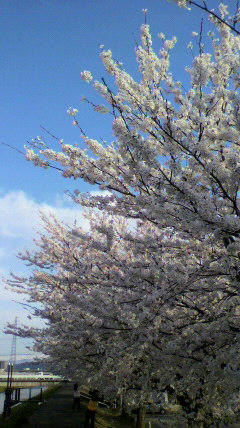 2012041616420000.jpg