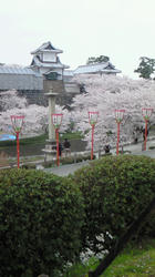 NEC_0442.jpg