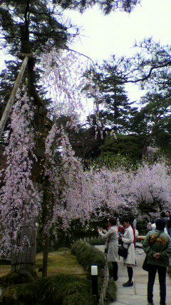 2012041713220000.jpg