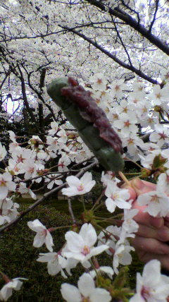 2012041713050000.jpg