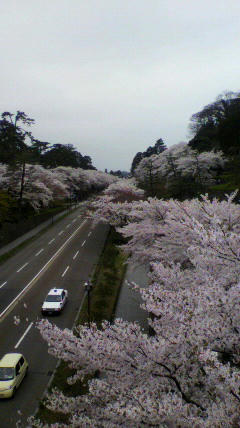 2012041712580000.jpg