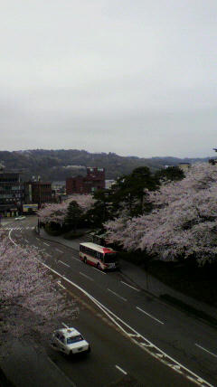 2012041712570000.jpg