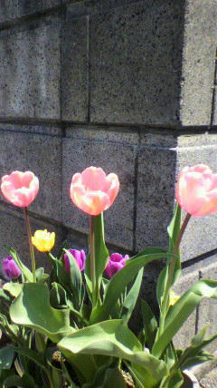 2012041811510000.jpg