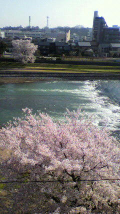 2012041907390000.jpg
