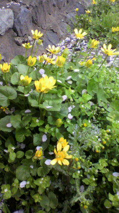 2012042014560000.jpg