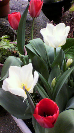 2012042010470000.jpg