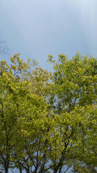 2012042912450000.jpg
