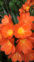 2012050314580000.jpg