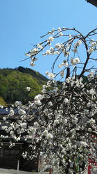 2012050512130000.jpg