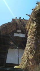 2012050515390000.jpg