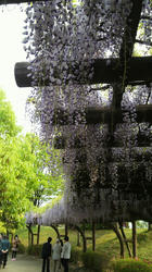 2012050915100000.jpg
