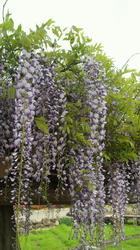 2012050915020001.jpg