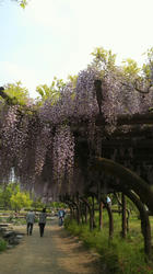 2012050915020000.jpg
