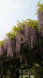 2012050915000000.jpg