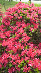 2012050915040000.jpg