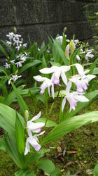 2012052314070000.jpg