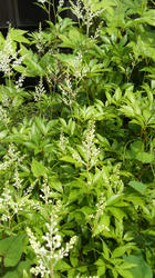 2012052314060000.jpg