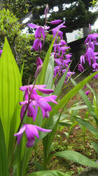 2012052314050000.jpg