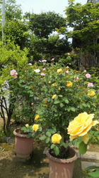 2012052410160001.jpg
