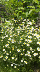 2012052410120002.jpg