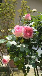 2012052414080000.jpg