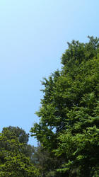 2012052713420001.jpg