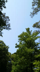 2012052713420000.jpg