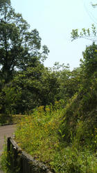 2012052713440002.jpg