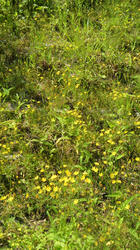 2012052713440000.jpg
