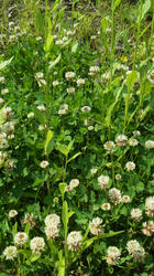 2012052713440003.jpg