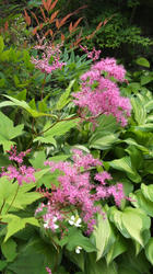 2012061212200000.jpg