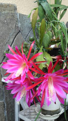 2012061307060000.jpg