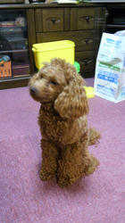 2012062815420000.jpg