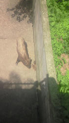 201205271326000.jpg