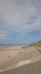NEC_0567.jpg