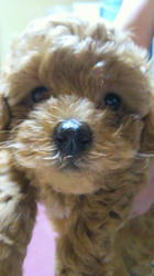 2012080216420000.jpg