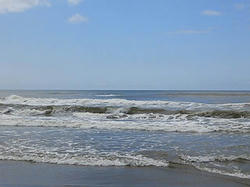 DSC_0009.jpg