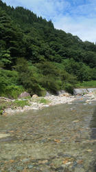 2012081514210001.jpg