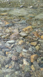 2012081514390001.jpg