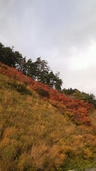 2012102415230000.jpg