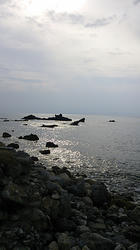 DSC_0315.JPG
