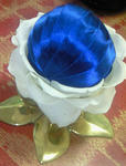 200806090250002-1.jpg